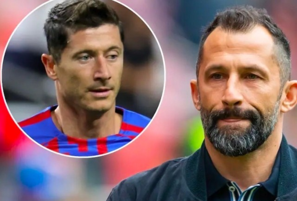 高昂投入的 高昂投入的