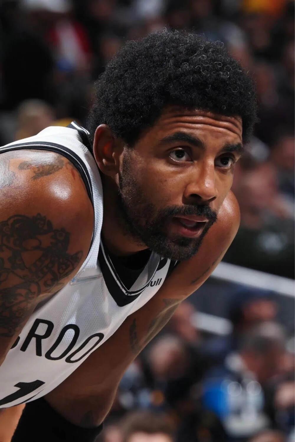 对世锦赛的 对世锦赛的